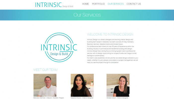 intrinsic design team